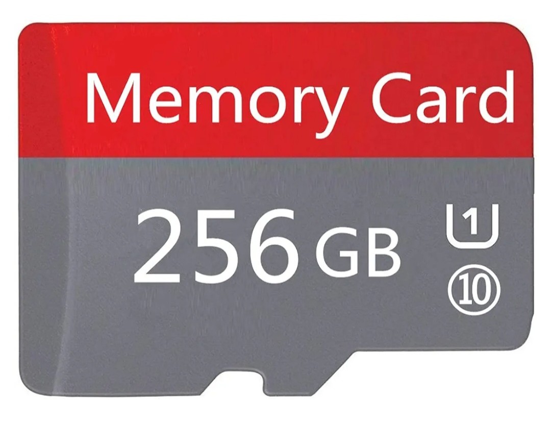 Card Micro SD 256 GB